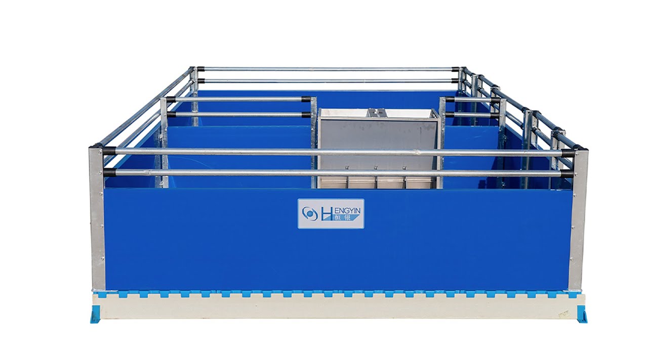 Hengyin Pig Farm Equipment weaner crate Introduce-Hengyin