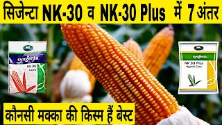 सिजेंटा NK 30 और NK 30 Plus मैं से कौनसा मक्का बीज अच्छा हैं | best makka seeds | nk 30 makka |