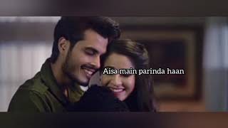Pinjraa by Gurnazar Chatta (lyrical video)