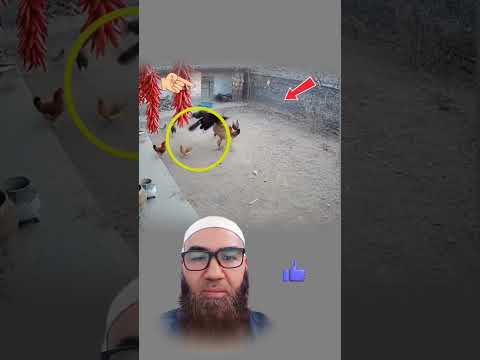 المبدأ هو أن تبقى كما أنت حين يتلو ن الجميعأن تختار الصواب ولو مشيت وحدك في الطريق