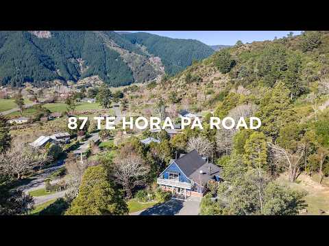 Property video