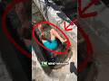 WOULD YOU TRY THIS?! 😱 Dangerous Water Hole Challenge,#shorts