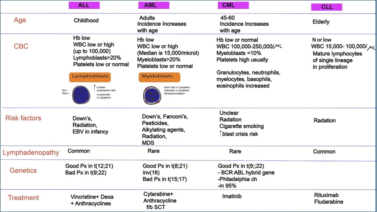 Comparing AML, ALL, CML and CLL, The leukemias YouTube