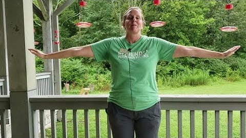 5 Fun Facts about Ruby-throated Hummingbirds