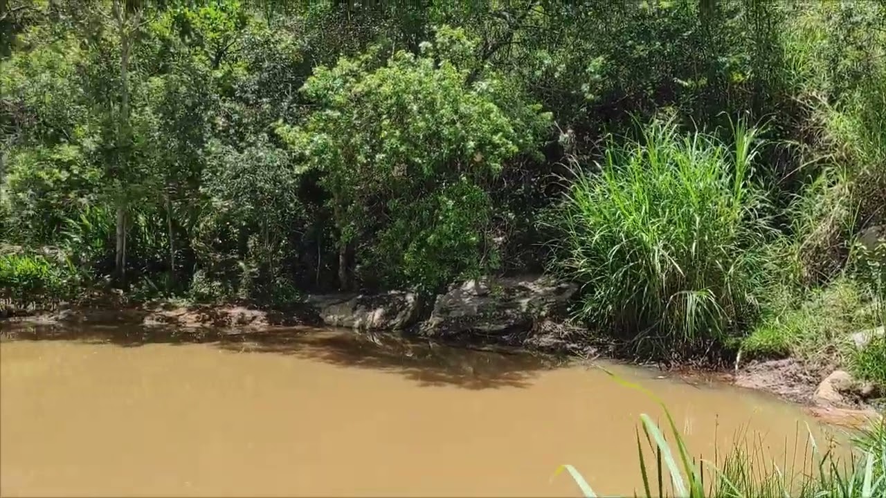 Sítio com 04 lagos cheio de peixes em Jambeiro 