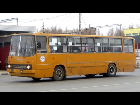 Поездки на Ikarus