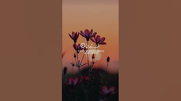 سورة الفاتحة... 🌷💯❤️.. #قرآن #المصحف #quran