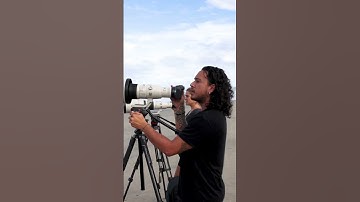 The surf simply experience