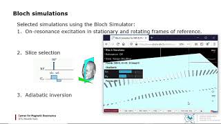 Introduction to the reimplemented Bloch Simulator from "MRI together '21"