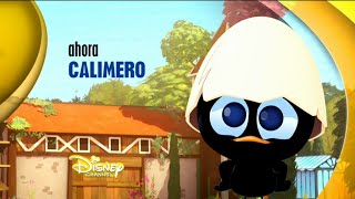 Disney Channel España: Ahora Calimero