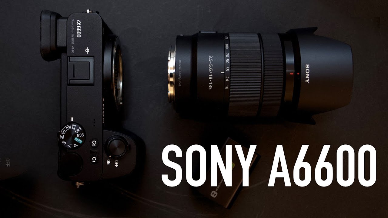 SONY A6600 CUERPO