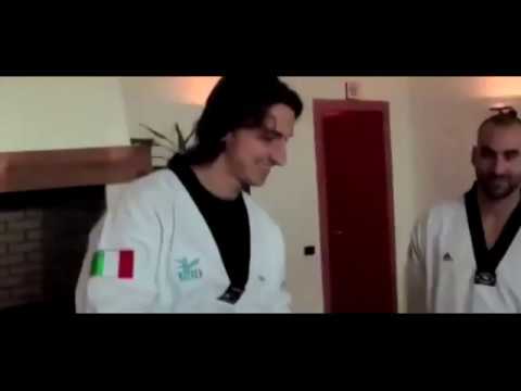 ზლატან იბრაჰიმოვიჩი - Zlatan Ibrahimovic