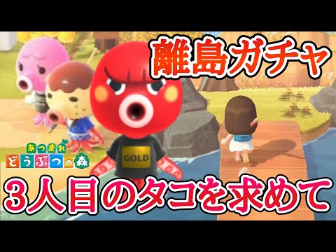 【あつ森】新住民を求めて離島ガチャ!おくたろう来ーい!【あつまれどうぶつの森】