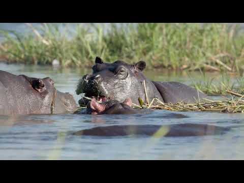 MAGOTHO 5 2025 Day Four