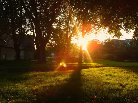 between october and understanding | a midwest emo mixtape