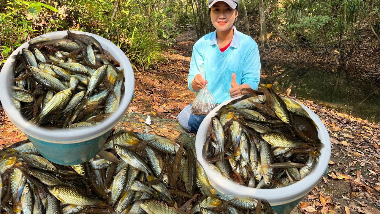 !!ตุ้มแตกอีกแล้ว!!หมานปลาขาวปลาชิวข้าวเต็มกะติกจ้า6/ก.พ/2569