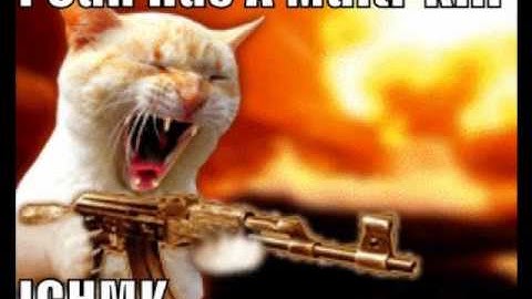 Cs 1.6 fast multi-kill