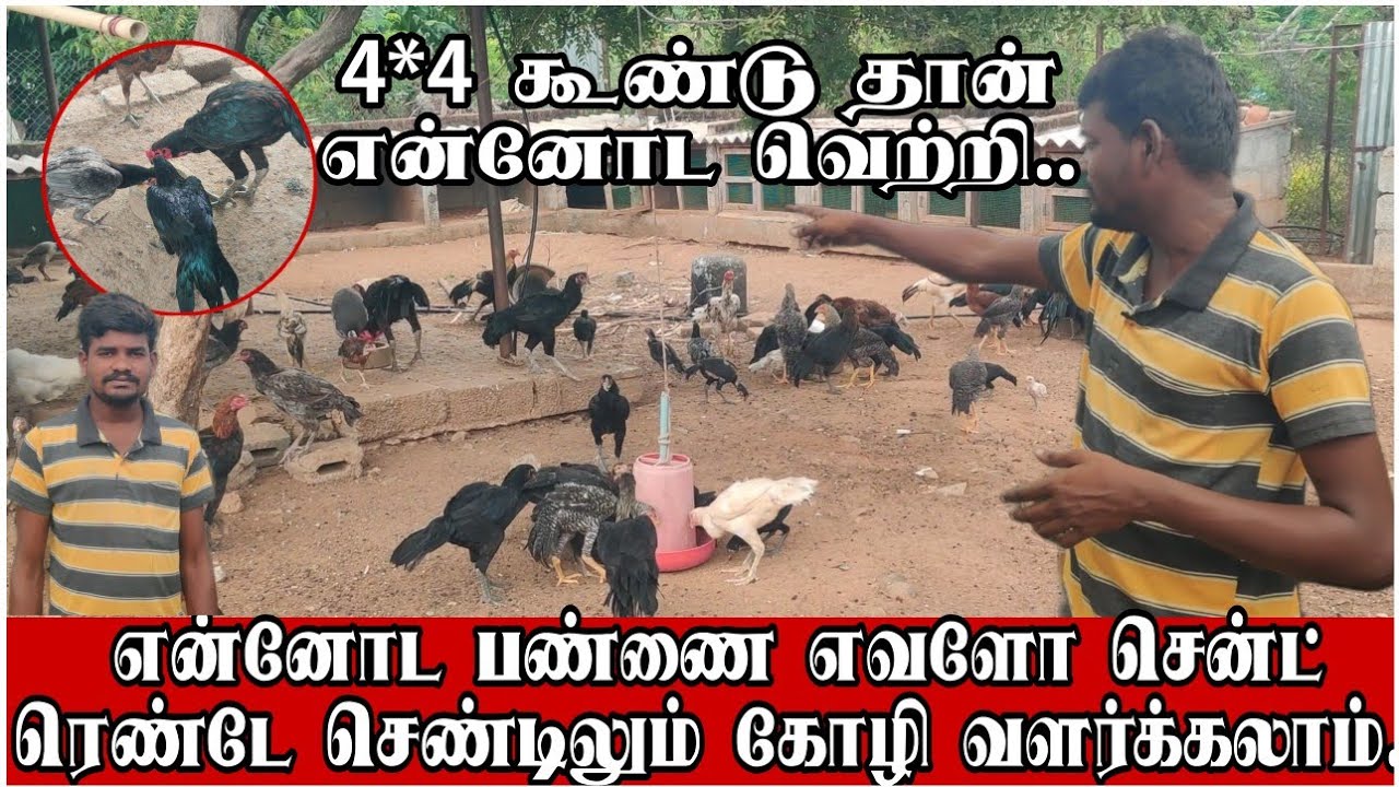 ஆர்வம் இருந்தால் 2 செண்டிலும் கோழி பண்ணை / இந்த கூண்டு தான் என்னோட வெற்றி 😍😍