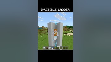The invisible ladder in Minecraft 🤯