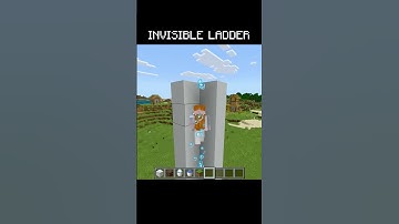 The invisible ladder in Minecraft 🤯