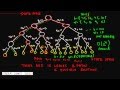 Programming Interview: 0/1 Knapsack problem using Branch and Bound Method (Part 1)