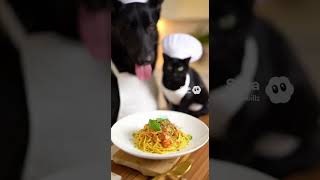 Midnight And Midnight Did Some Cooking