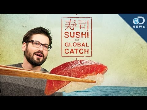 Is Eating Sushi Irresponsible? |Screening Room