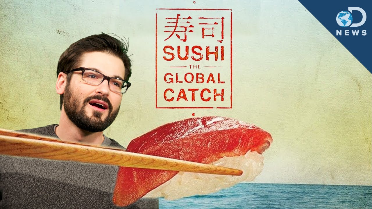 Is Eating Sushi Irresponsible? |Screening Room