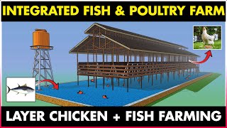 Integrated Fish and Chicken Farming | Integrated Fish Farming and Layer Poultry Farming screenshot 4