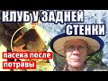 КЛУБ У ЗАДНЕЙ СТЕНКИ ЧТО ДЕЛАТЬ? Зимовка пчел. Осмотр пчел зимой.