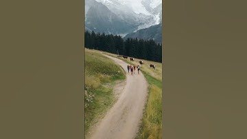 Elevate Your Running session with Salomon: Unleash The Mountain Runner in You #TomorrowIsYours