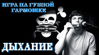 Игра на губной гармошке. Звукоизвлечение. Дыхание | Playing the harmonica. Breath (ENG sub)