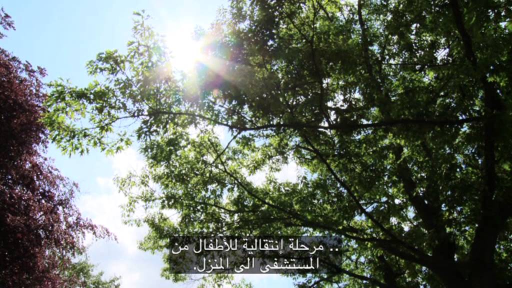 Brain injury rehabilitation services at The Children's Trust - Arabic subtitles