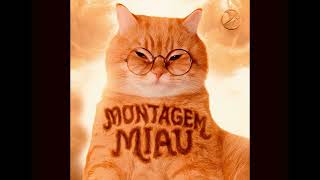 Lenar - MONTAGEM MIAU (432Hz)