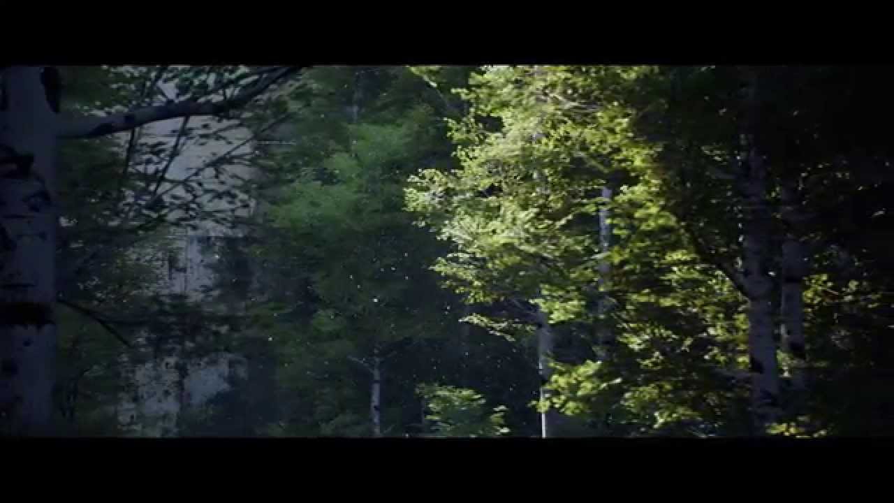 UE4 - SpeedTree - DFAO/GI test