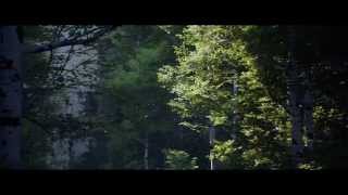 UE4 - SpeedTree - DFAO/GI test