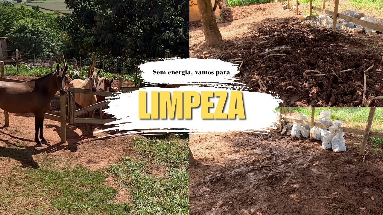 Quando falta energia, o trabalho não para