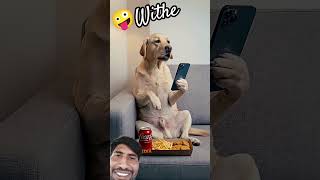 😂 Dog Squad on a Mission! 🐶🐾 | Funniest Dog Moments Ever #Shorts.