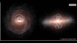 Resonant dark matter orbit in a barred spiral galaxy