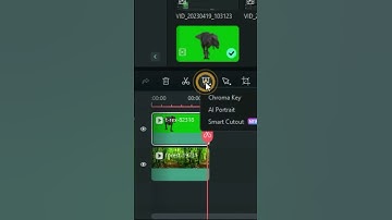 Green Screen Effect in Wondershare Filmora | #shorts #filmora #greenscreen