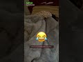 【片麻痺】朝が弱いひよりちゃんが大人みたいで面白いwww#障害児#幸せ#育児#親子#可愛い#歩行訓練#片麻痺#左麻痺#歩行#介助歩行#リハビリ#療育#障害#寝起き#朝