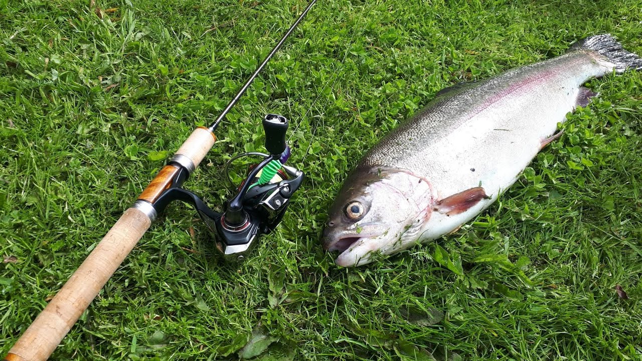 Рыбалка в Дании на форель. Часть 1. - YouTube