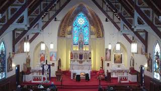 Our Lady of Ostrabrama: 11am Mass - Palm Sunday of the Passion of the Lord 3/29/2026