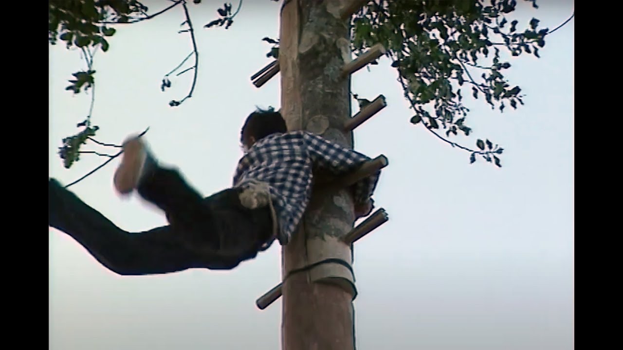 PER IL SANTO E PER LA NATURA: Il Maggio di Accettura