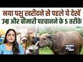 Dairy Farming का सबसे बड़ा फ्रॉड, दूध के दावे के पीछे का खौफनाक सच, पशु खरीदने की गाइड