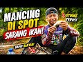 Mancing di Spot Rahasia! Sekali Lempar Langsung Strike Terus!!
