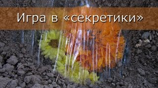 Игра в &quot;секретики&quot;