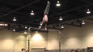 Alex Johnson – High Bar – 2016 Winter Cup Prelims