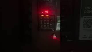 Домофон ELTIS DP300