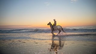 Photo Tip: Shooting into the Light